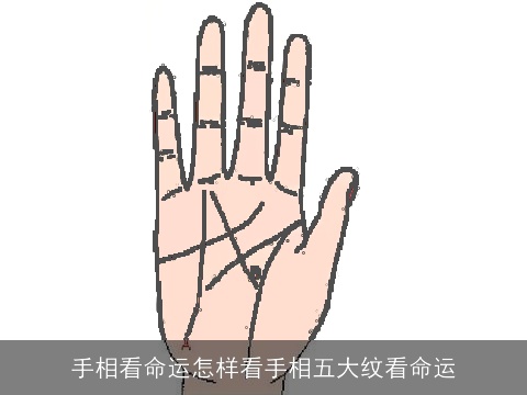 手相看命运怎样看手相五大纹看命运
