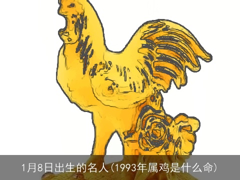 1月8日出生的名人(1993年属鸡是什么命)