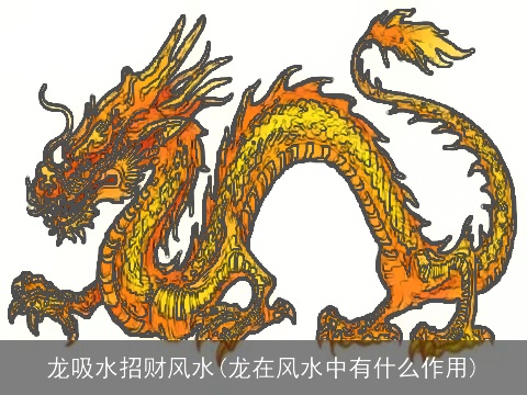 龙吸水招财风水(龙在风水中有什么作用)
