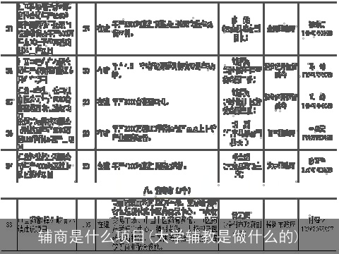 辅商是什么项目(大学辅教是做什么的)