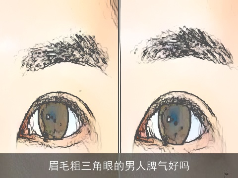 眉毛粗三角眼的男人脾气好吗