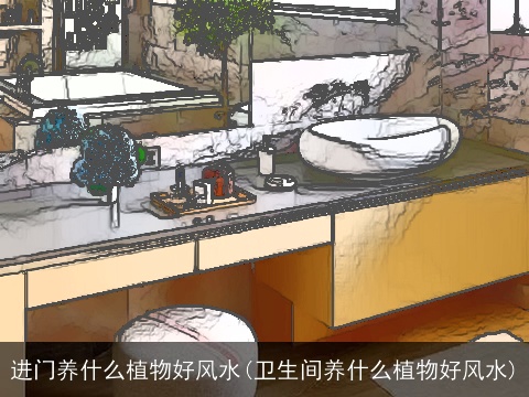 进门养什么植物好风水(卫生间养什么植物好风水)