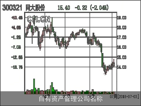 自有资产管理公司名称