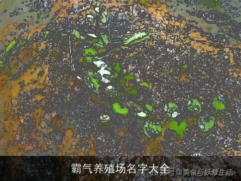 霸气养殖场名字大全