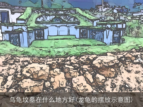 乌龟坟墓在什么地方好(龙龟的摆放示意图)