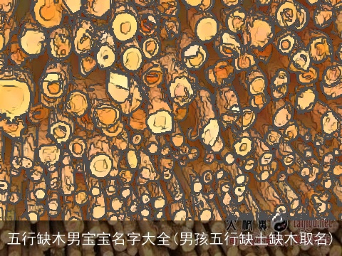 五行缺木男宝宝名字大全(男孩五行缺土缺木取名)