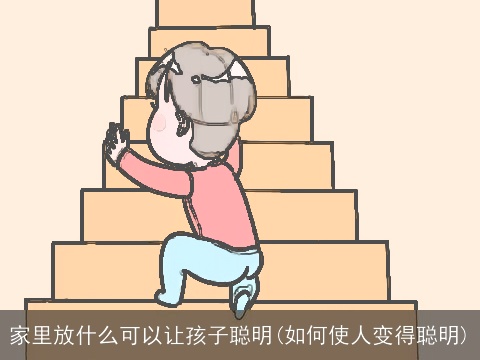 家里放什么可以让孩子聪明(如何使人变得聪明)