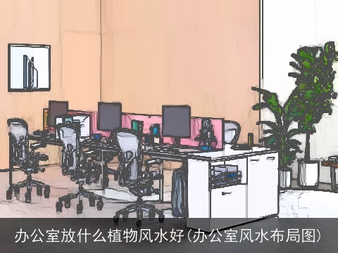 办公室放什么植物风水好(办公室风水布局图)