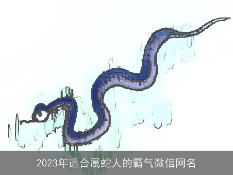 2023年适合属蛇人的霸气微信网名