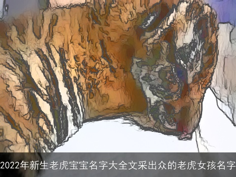 2022年新生老虎宝宝名字大全文采出众的老虎女孩名字