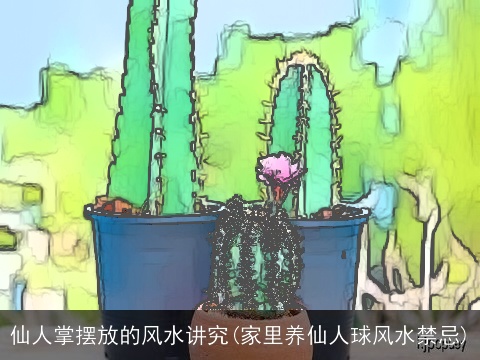 仙人掌摆放的风水讲究(家里养仙人球风水禁忌)