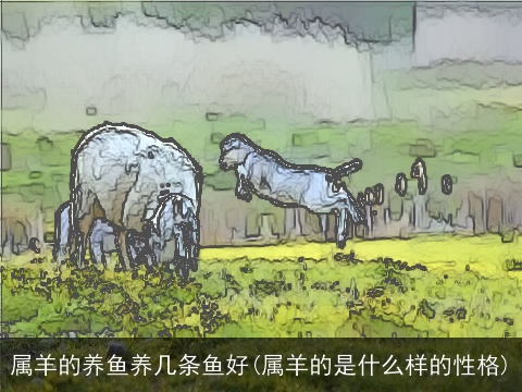属羊的养鱼养几条鱼好(属羊的是什么样的性格)