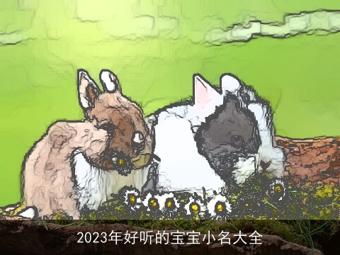 2023年好听的宝宝小名大全