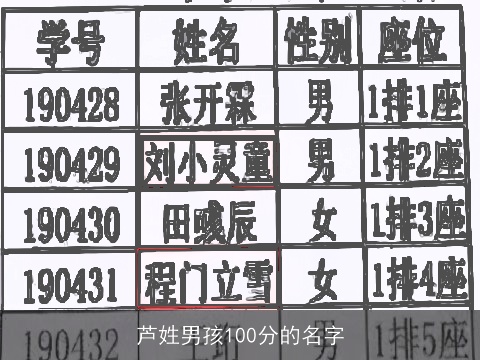芦姓男孩100分的名字