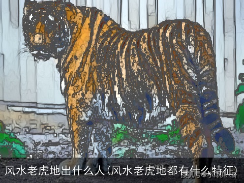 风水老虎地出什么人(风水老虎地都有什么特征)