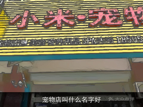 宠物店叫什么名字好