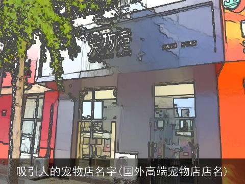 吸引人的宠物店名字(国外高端宠物店店名)
