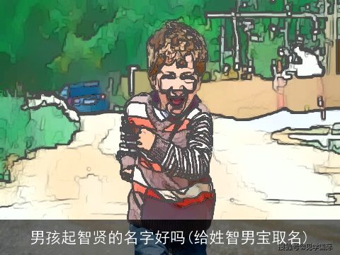 男孩起智贤的名字好吗(给姓智男宝取名)
