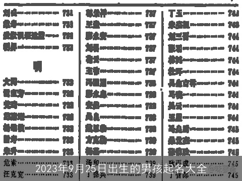 2023年9月25日出生的男孩起名大全