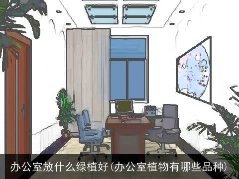 办公室放什么绿植好(办公室植物有哪些品种)