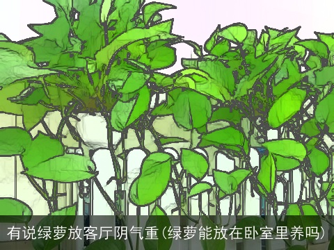 有说绿萝放客厅阴气重(绿萝能放在卧室里养吗)