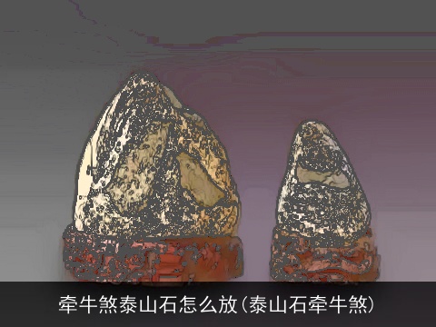 牵牛煞泰山石怎么放(泰山石牵牛煞)