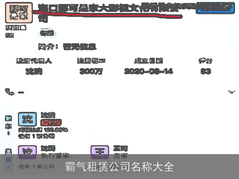 霸气租赁公司名称大全