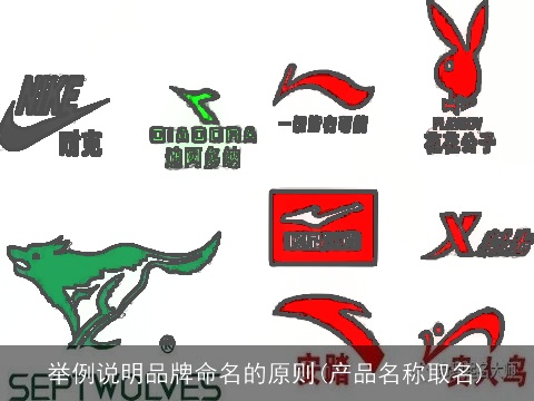 举例说明品牌命名的原则(产品名称取名)