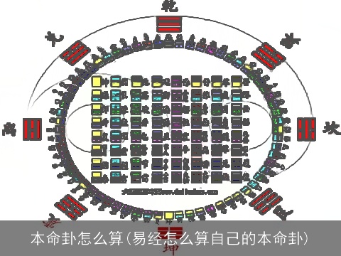 本命卦怎么算(易经怎么算自己的本命卦)