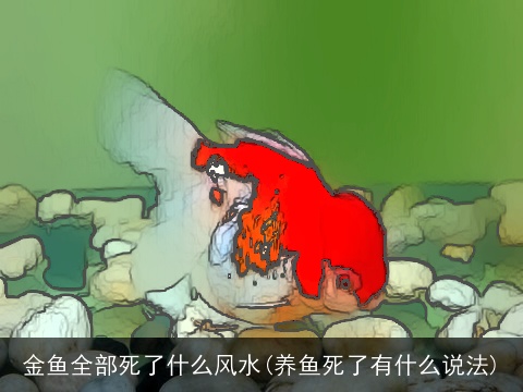 金鱼全部死了什么风水(养鱼死了有什么说法)