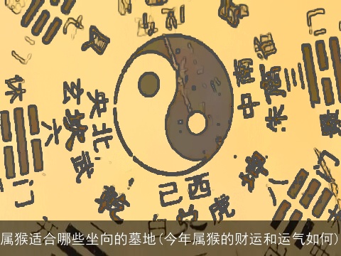 属猴适合哪些坐向的墓地(今年属猴的财运和运气如何)