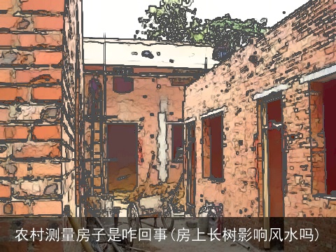 农村测量房子是咋回事(房上长树影响风水吗)