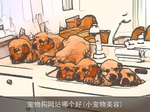 宠物狗网站哪个好(小宠物美容)