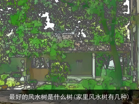 最好的风水树是什么树(家里风水树有几种)