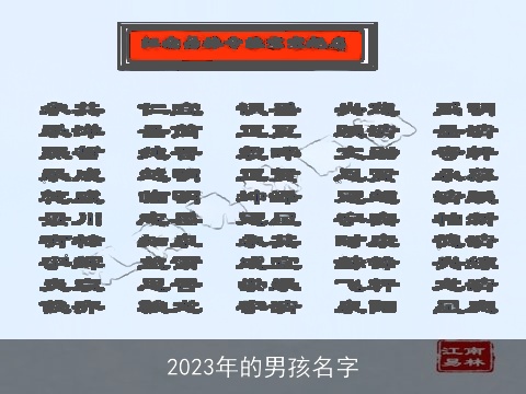 2023年的男孩名字