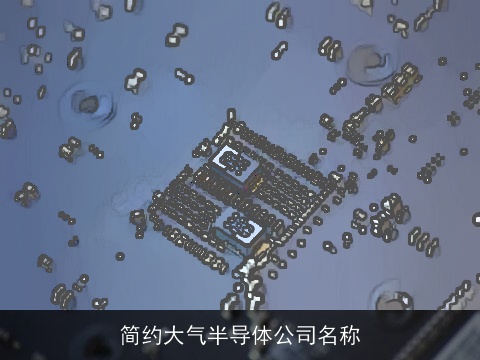 简约大气半导体公司名称