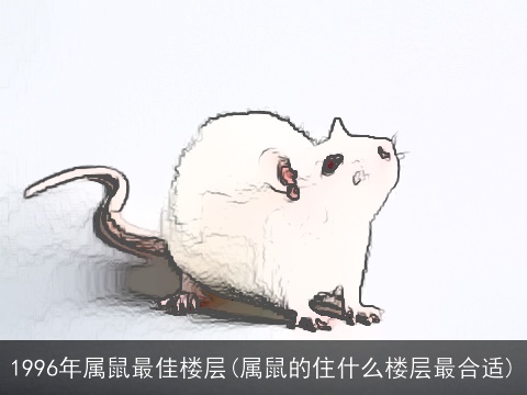 1996年属鼠最佳楼层(属鼠的住什么楼层最合适)