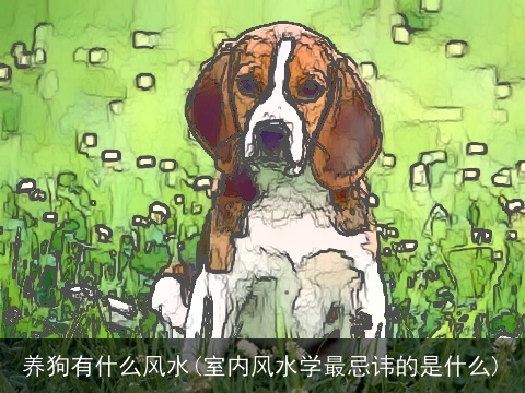 养狗有什么风水(室内风水学最忌讳的是什么)