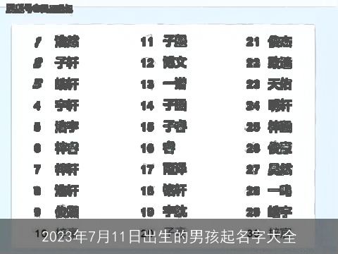 2023年7月11日出生的男孩起名字大全