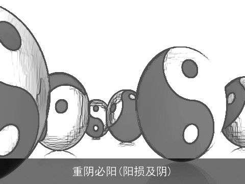 重阴必阳(阳损及阴)