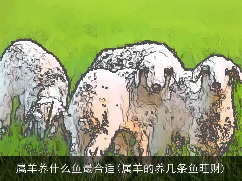 属羊养什么鱼最合适(属羊的养几条鱼旺财)