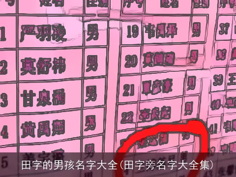 田字的男孩名字大全(田字旁名字大全集)