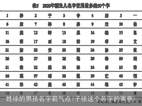 姓徐的男孩名字霸气点(子徐这个名字的寓意)