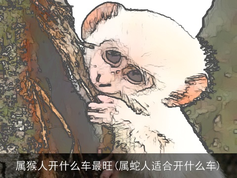 属猴人开什么车最旺(属蛇人适合开什么车)
