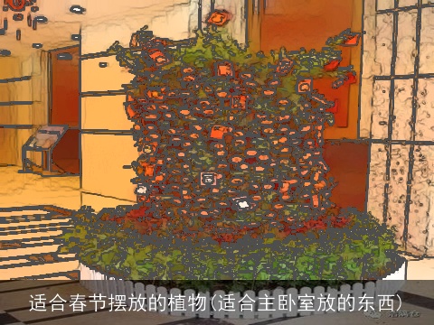 适合春节摆放的植物(适合主卧室放的东西)