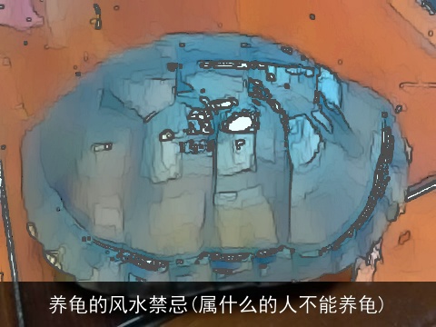 养龟的风水禁忌(属什么的人不能养龟)