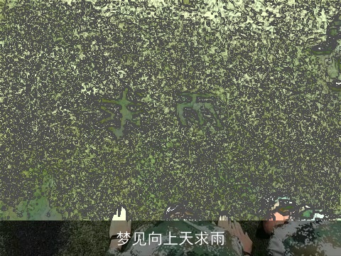 梦见向上天求雨
