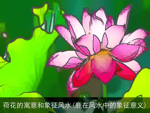 荷花的寓意和象征风水(鹿在风水中的象征意义)