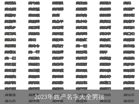 2023年姓严名字大全男孩