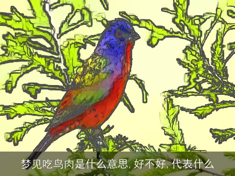 梦见吃鸟肉是什么意思,好不好,代表什么